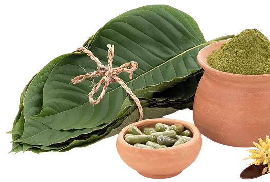 leaves