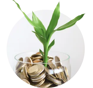 leaves and money